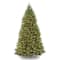 10ft. Pre-Lit PowerConnect™ Dunhill® Fir Tree Artificial Christmas Tree, Dual Color® LED Lights